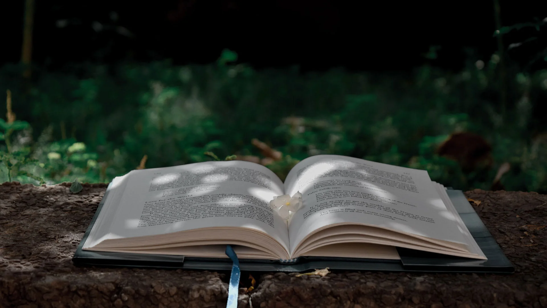 Отворена книга